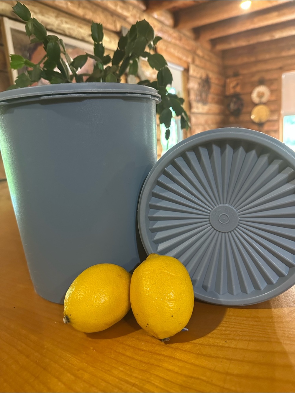 Tupperware Light Blue Kitchen Container with Decorative Lid
